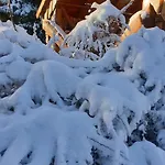 Zum Gruendle ホテル 3*