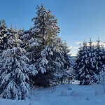 Zum Gruendle ホテル