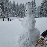 Zum Gruendle 3* Oberhof (Thuringia)