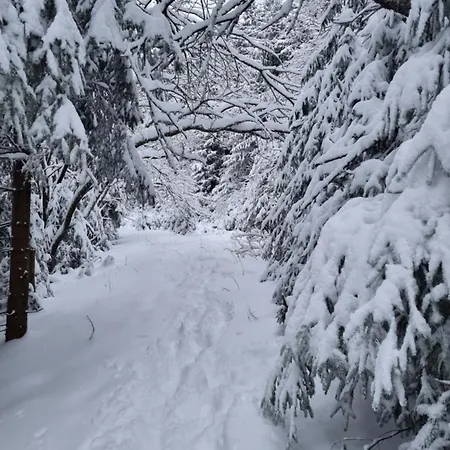 Hotel Zum Gründle Oberhof (Thuringia)