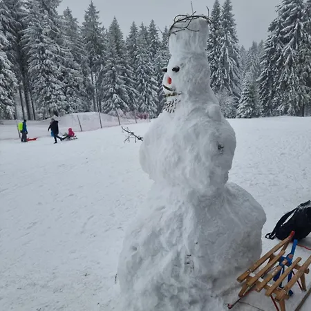 Zum Gruendle 3* Oberhof (Thuringia)