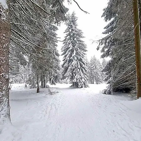 Zum Grundle Ξενοδοχείο Oberhof (Thuringia)