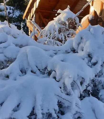 Zum Gruendle Hotell 3*