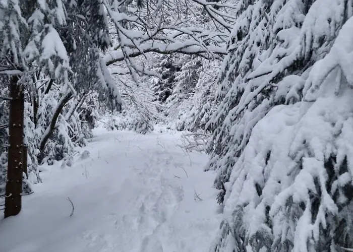 Hotell Zum Gruendle Oberhof (Thuringia)