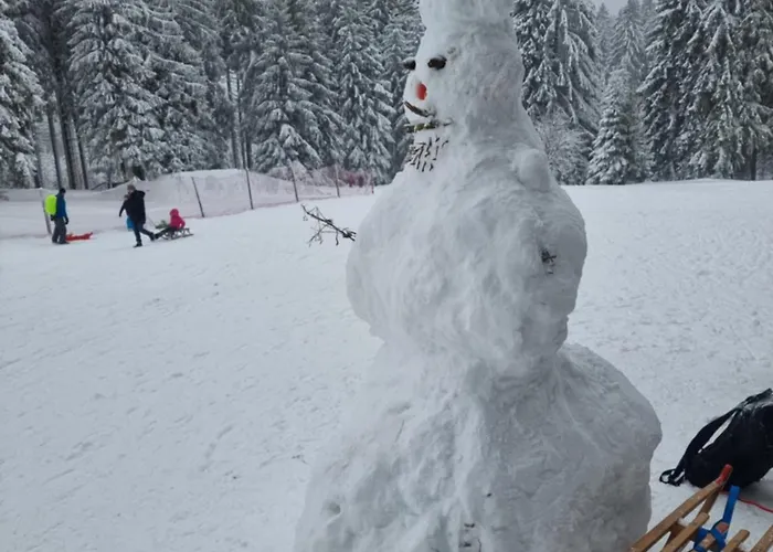 Zum Gruendle 3* Oberhof (Thuringia)